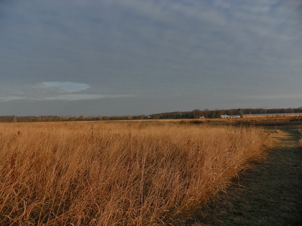 Arrowhead Prarie Preserve by MikeFromholt