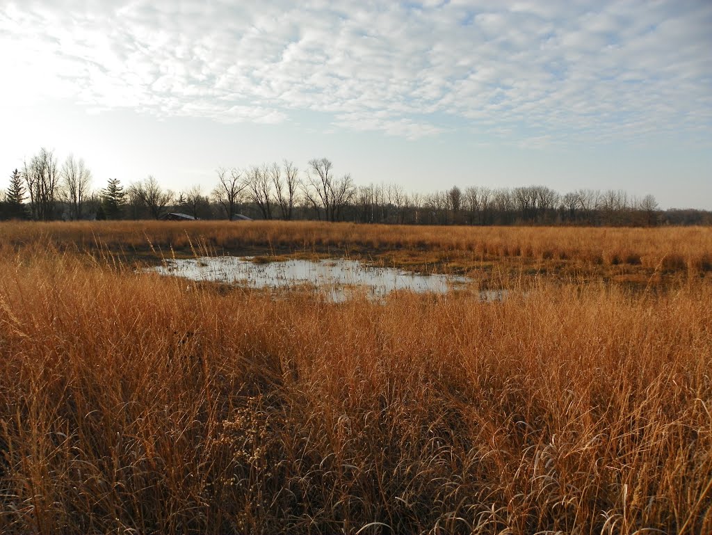 Arrowhead Prarie Preserve by MikeFromholt