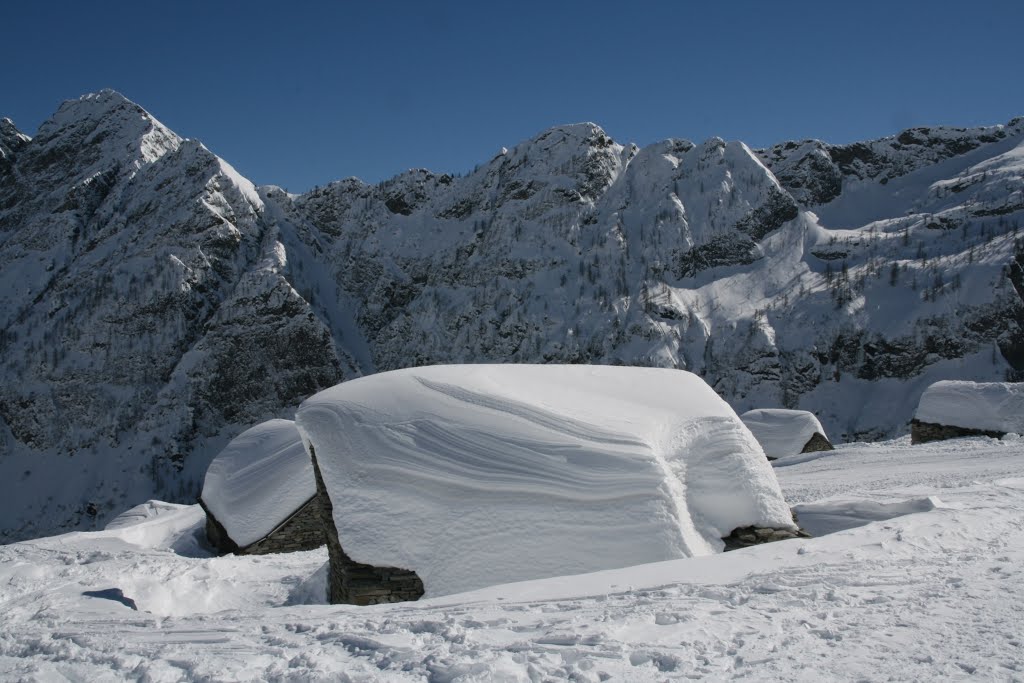 Grossalp, Bosco Gurin by TeoColo