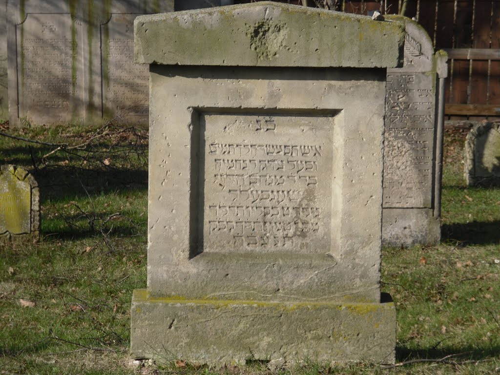 Judenfriedhof Nordstemmen by ©Elisabeth van Langen