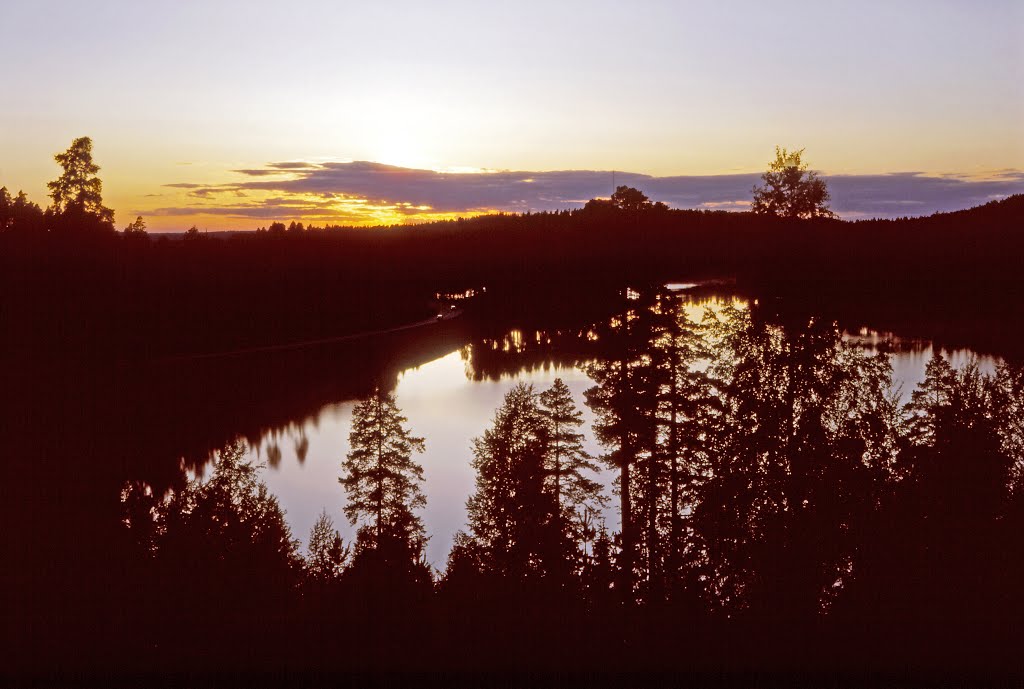 Södra änden av sjön Svärdlång utanför Bengtsfors juni 1979 by Gunnar Henriksson