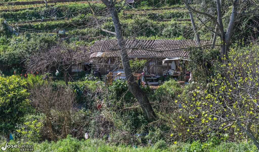 RIBEIRA DOS CARRIZES by Jose Caeiros