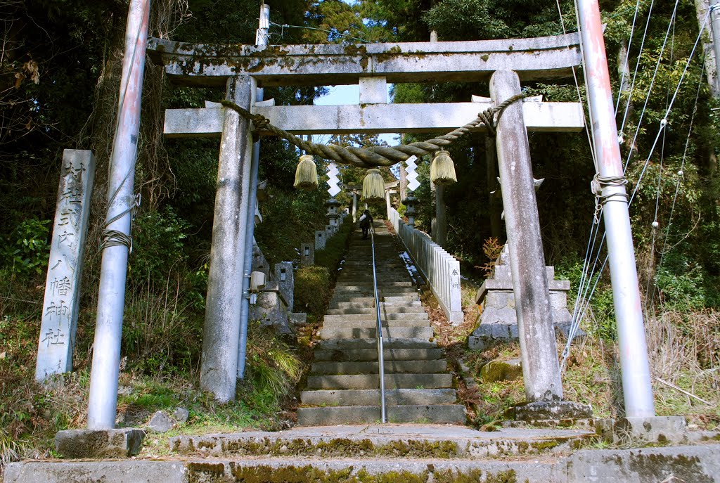 Shinto Shrine:Yawata jinja　八幡神社　福井県坂井市丸岡町上久米田 by paleblue49