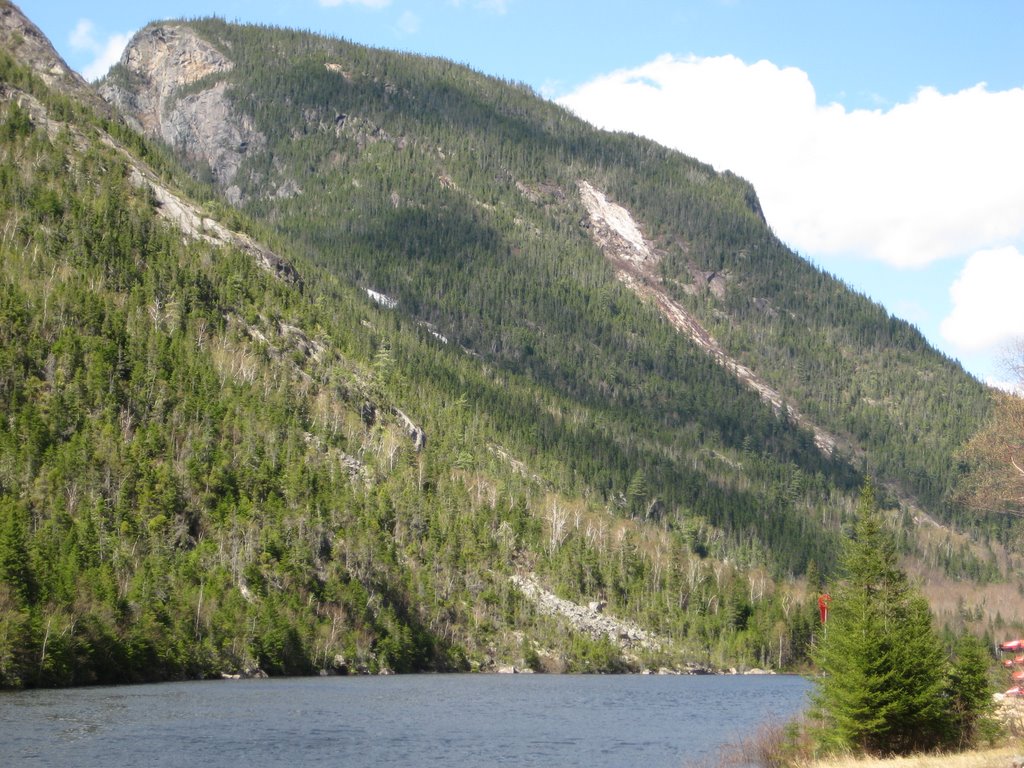 Hautes gorges de la riviere Malbaie by ebergeron