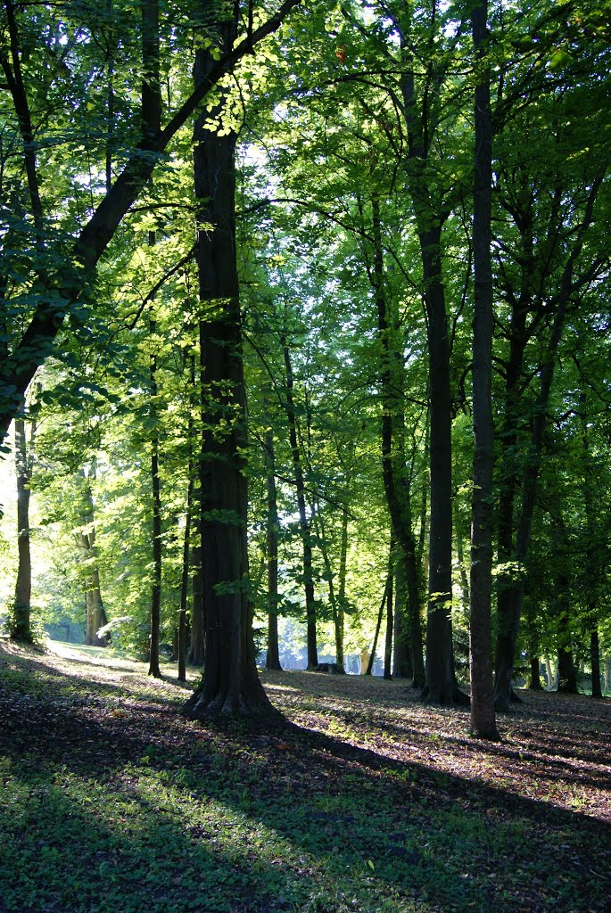 Parc de Touteville, Asnières-sur-Oise by Tourisme Asnières-sur-Oise