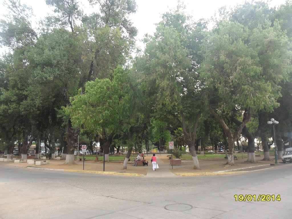 Esquina de la plaza de armas de El Carmen. by fotomau84