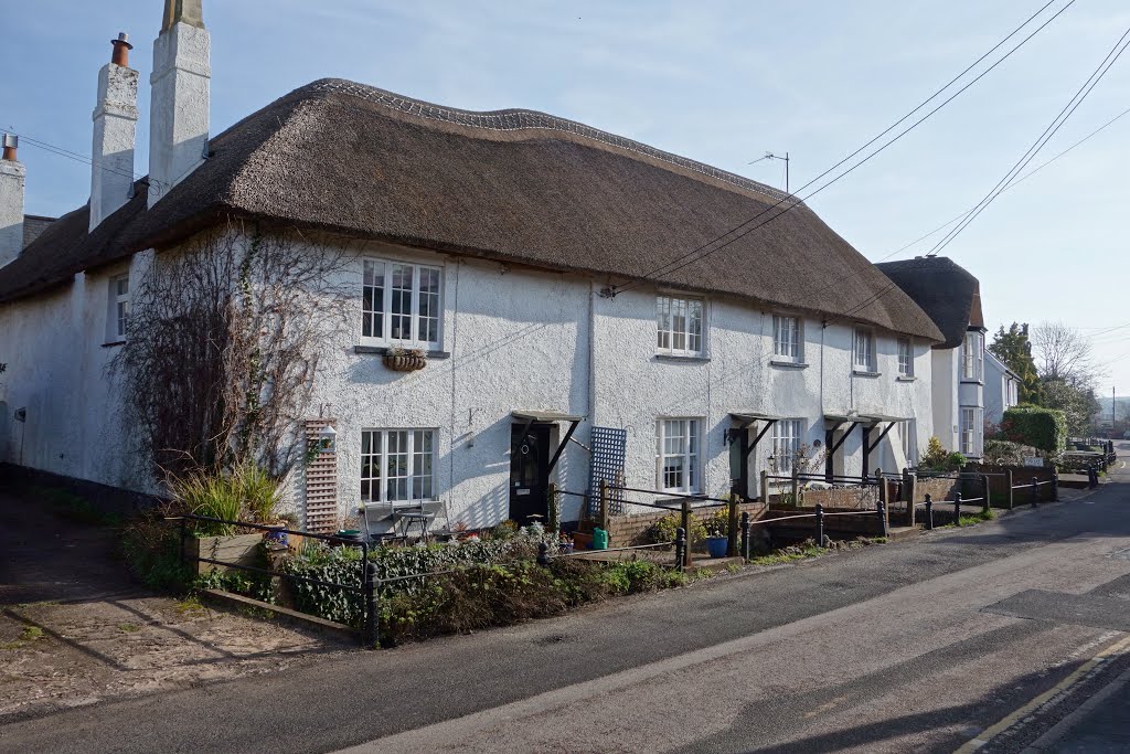 Cottages East Budleigh by Ibshadow