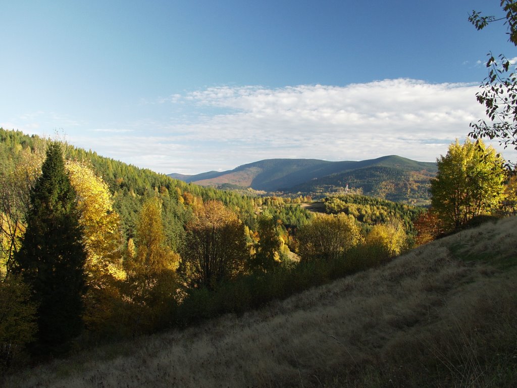 Widok z osiedla Jaworskie na Pasmo Polic (10.2005) by Mattheoss