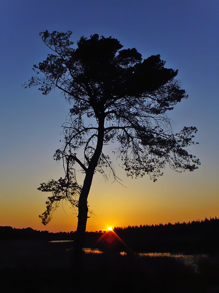 Sunset, Buntven, Zandbosch, Deurne by uaf