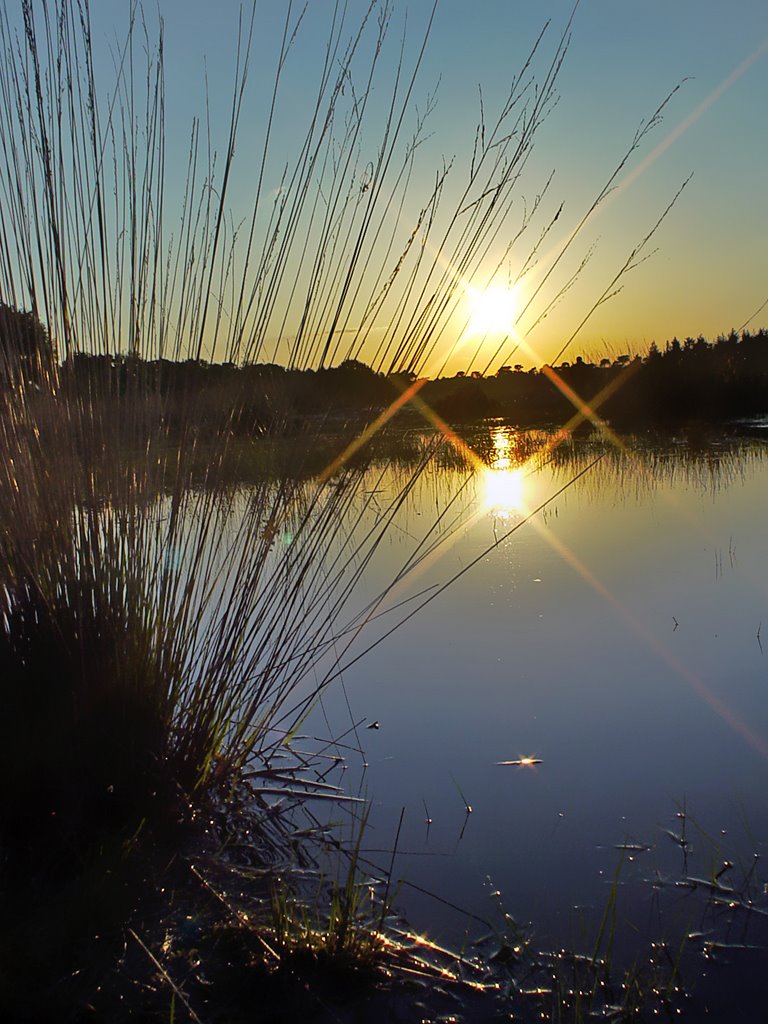 Sunset, Buntven, Zandbosch, Deurne by uaf