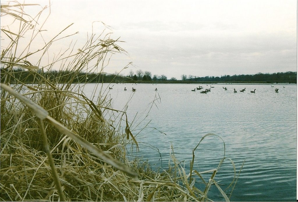 Rock Creek Lake by Blake of the Bluffs