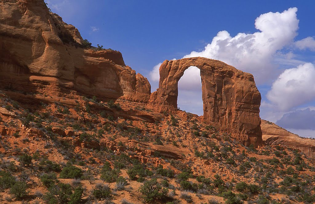 Royal arch, puffy clouds by rblekicki