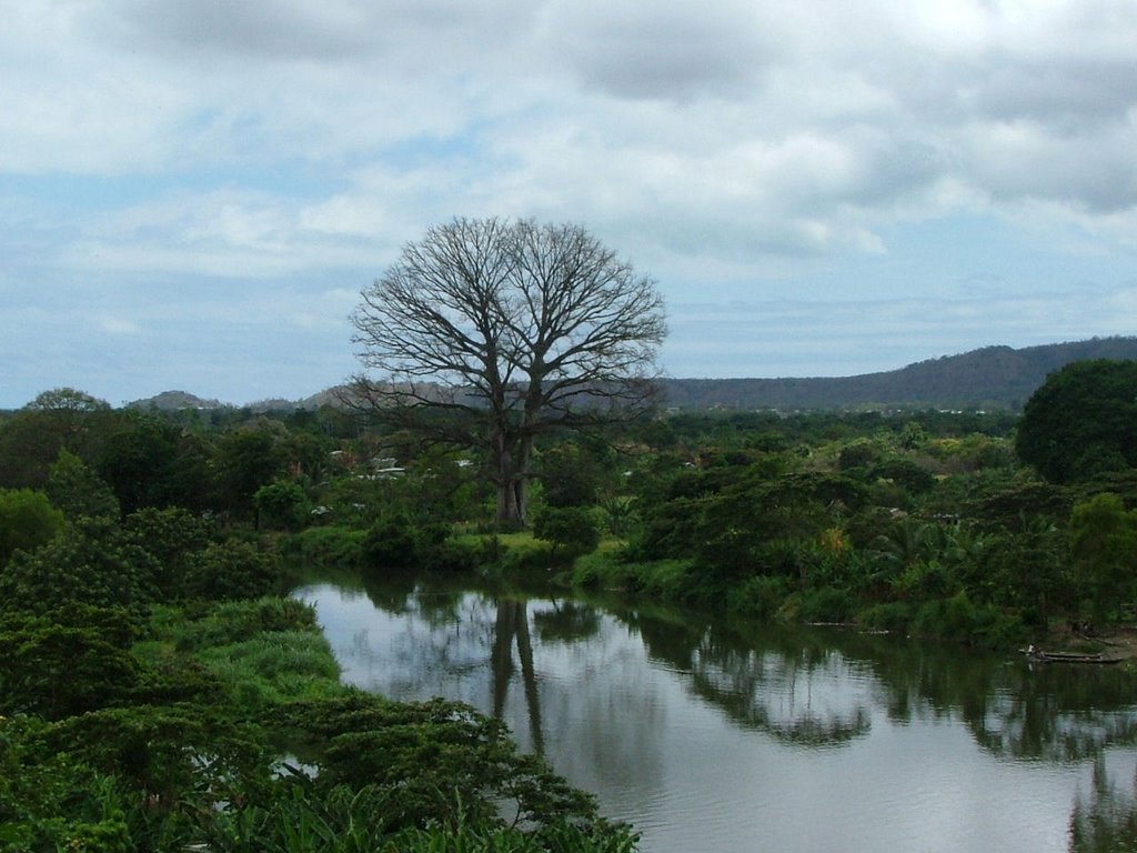 Aire Libre en sept. by Ivan Boada