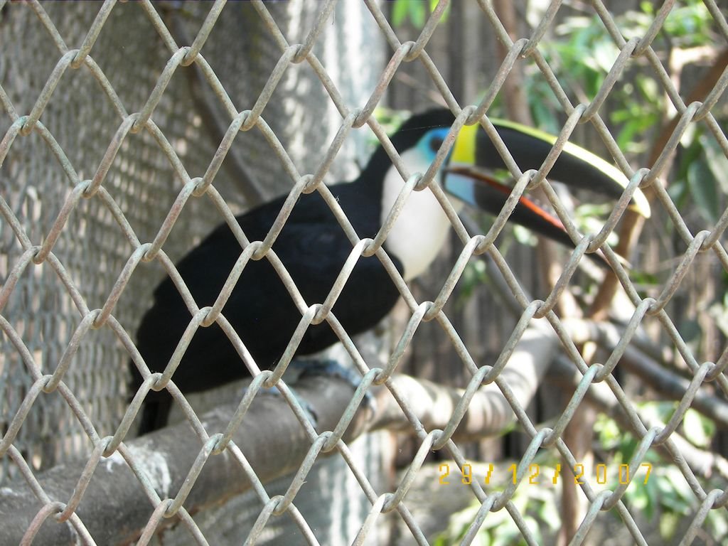 Zoologico El Pantanal by Luiggi Baez