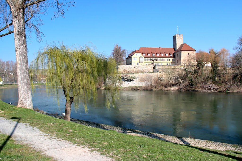 Lauffen - Burg ●(015°) by © Roland