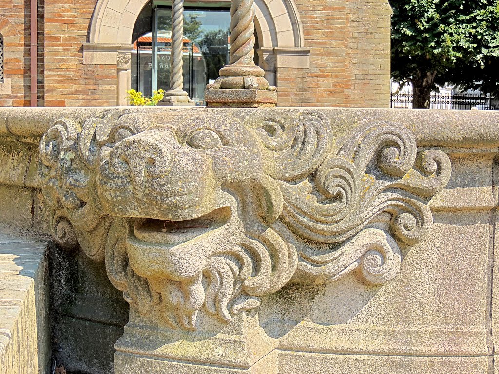 Nantes, Musée Dobrée, lion de puits by tofil44