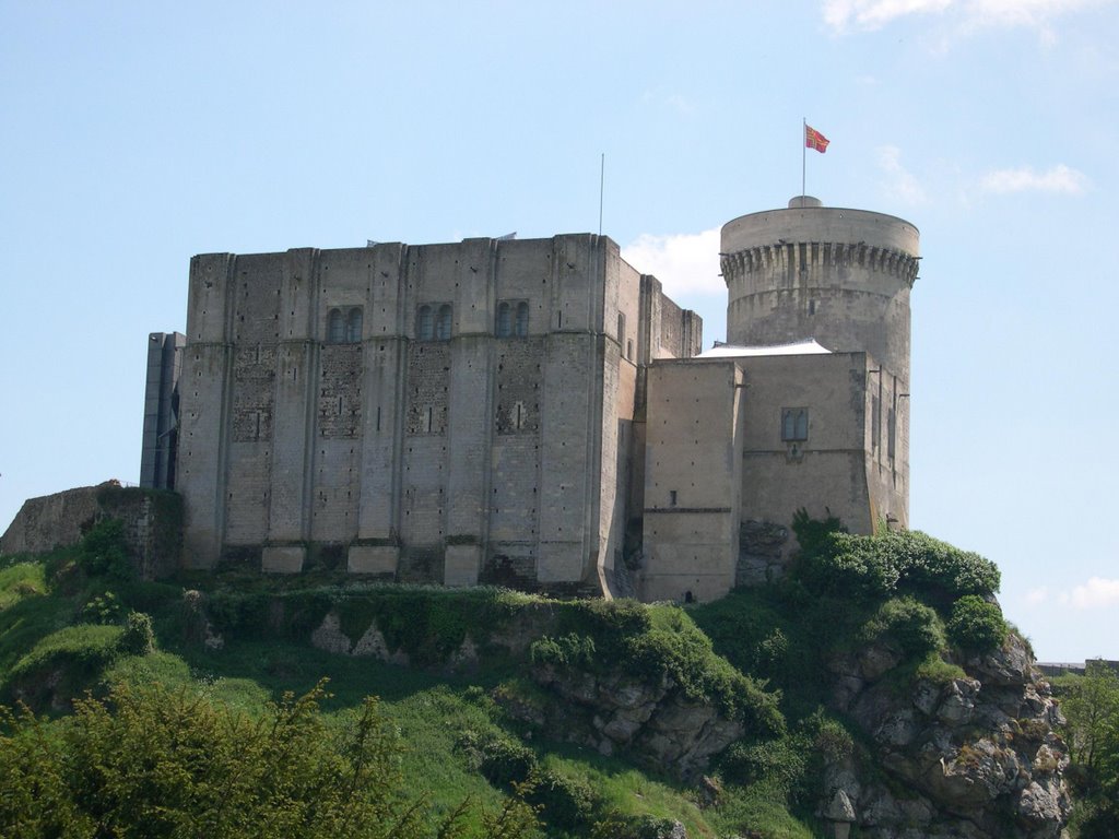 Château de Falaise by eromanet