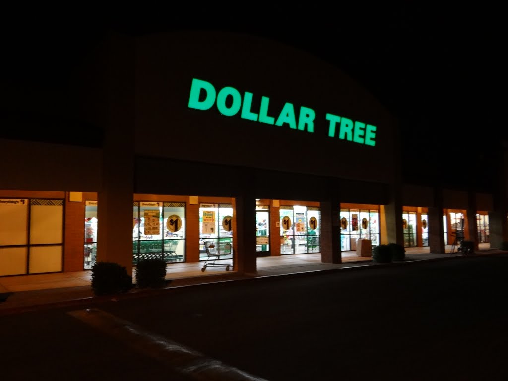 DOLLAR TREE by Blair Yu