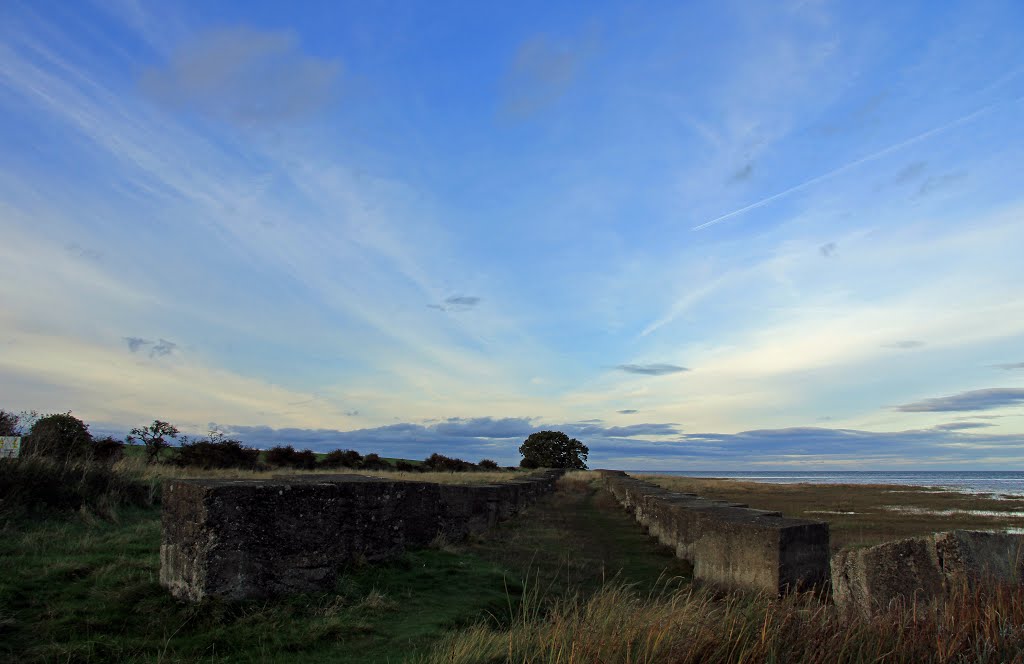 Anti-tank defences by Amelia Royan