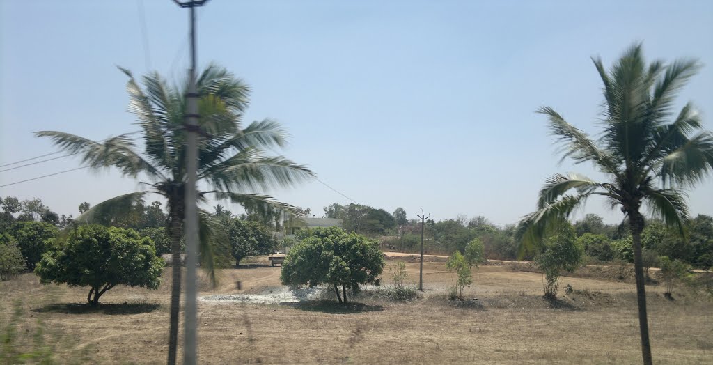 Mango Gardens,Chittoor, Andhra Pradesh, India by kamalakaranthati