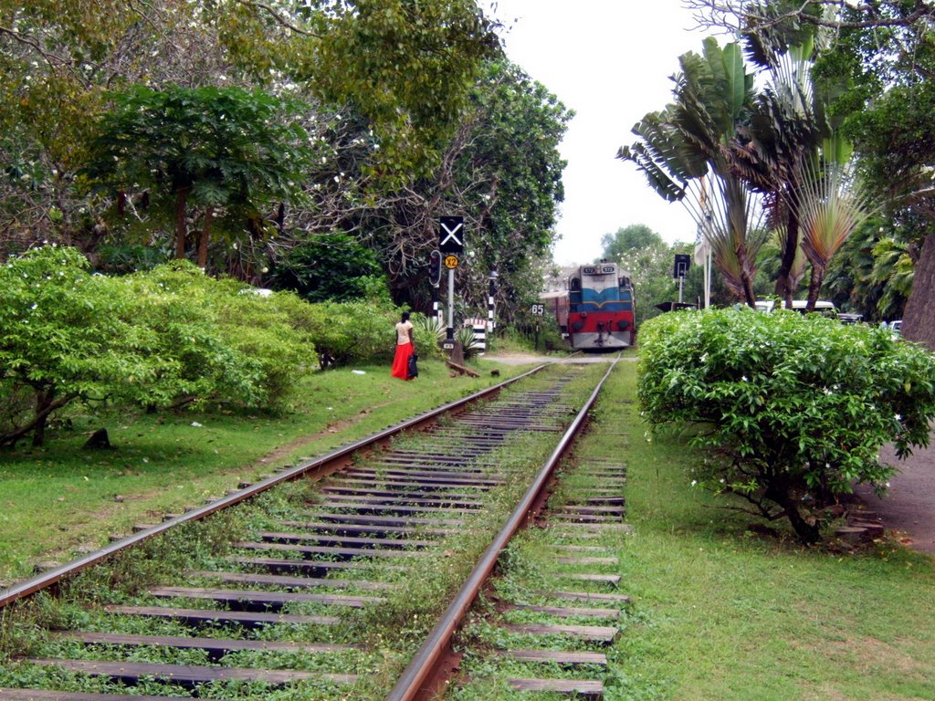 Beruwela train by hedilein_bu