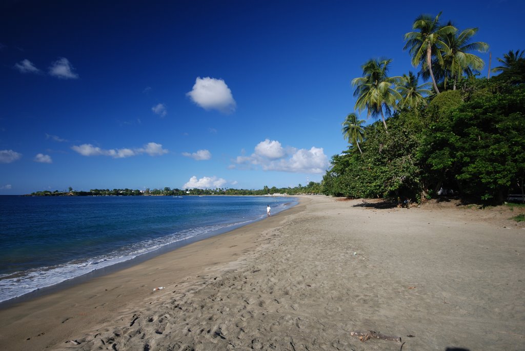 Great Curland Bay, Turtle Beach #1 by Olaf Gehrmann