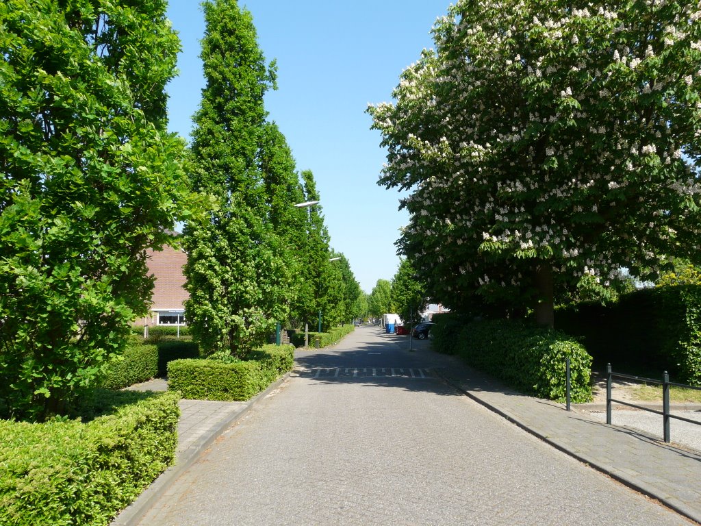 De Prinses Ireneweg, zicht op noorden, Houten by David Jimmink