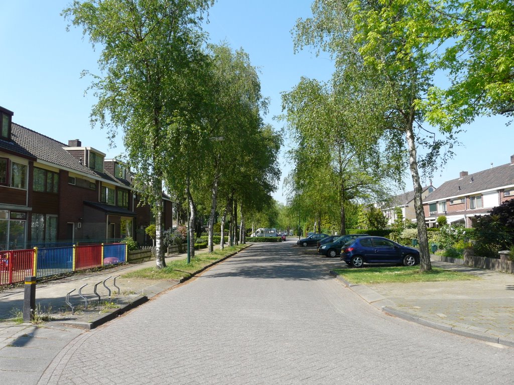 De Koningin Emmaweg, zicht op westen, Houten by David Jimmink