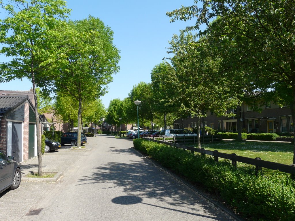 De Kamillehof, zicht op noorden, Houten by David Jimmink