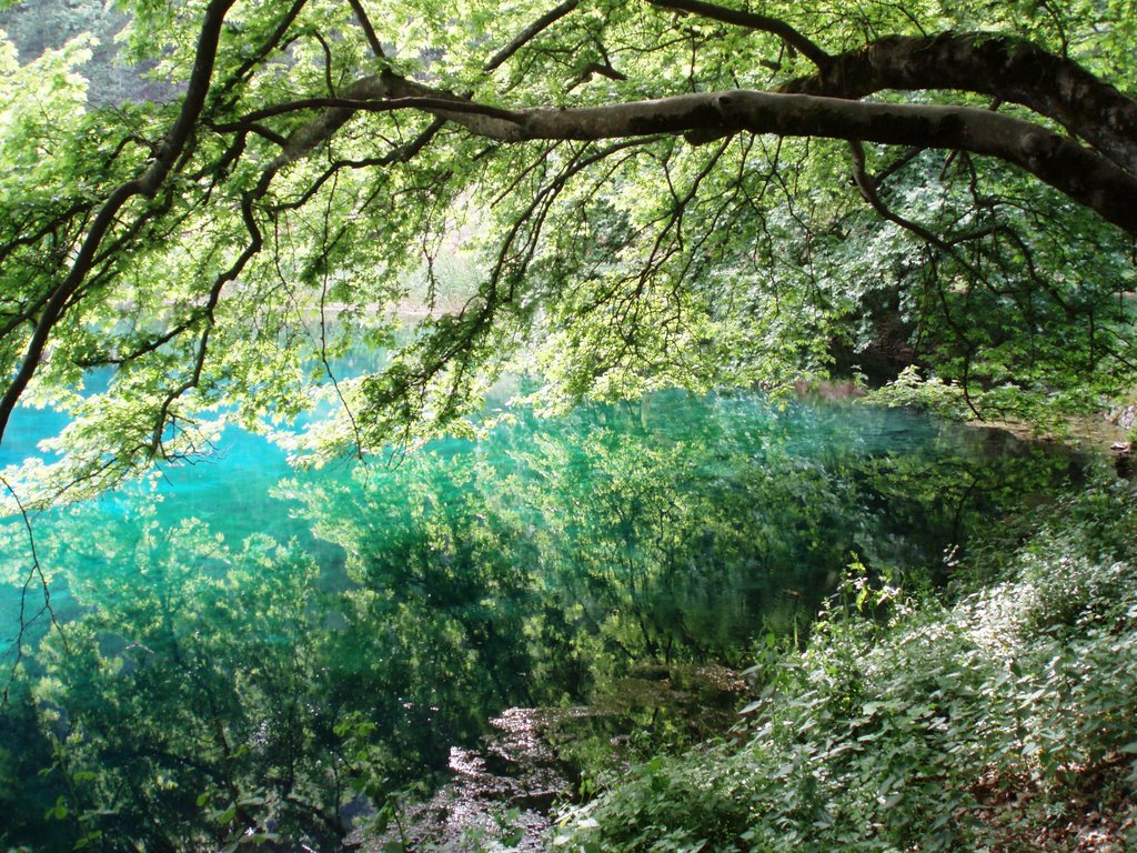 Louros river, springs by pandimis