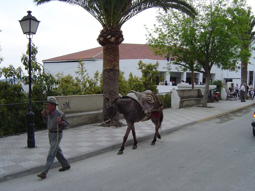 Inauguración Pabellón Villa de Frigiliana by rubenf7