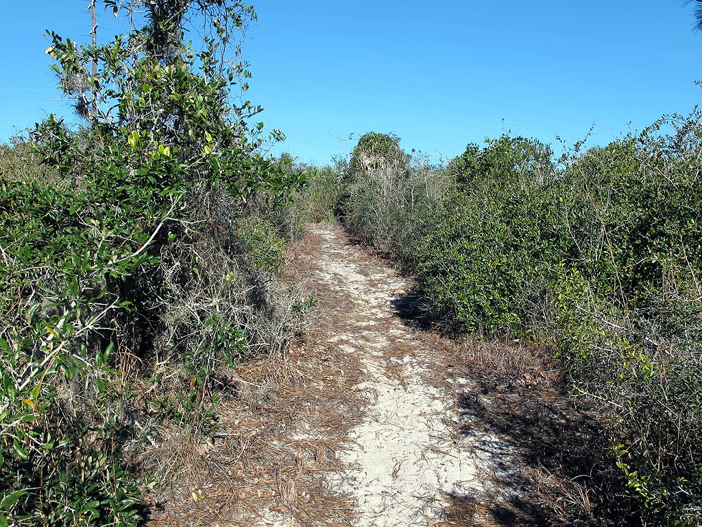 Small Hill on Sandy Trail by Tom Choma