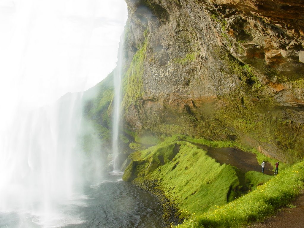 Tras la verde Seljalandsfoss by Rider on the storm