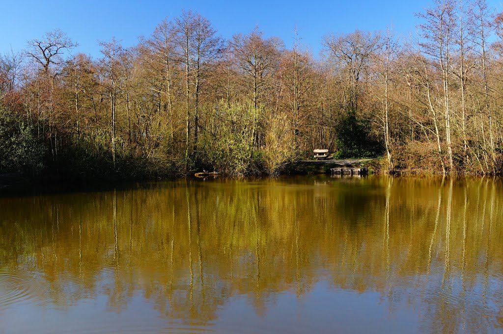 Belhus Woods Country Park by FOTOG-RAF POLSKA