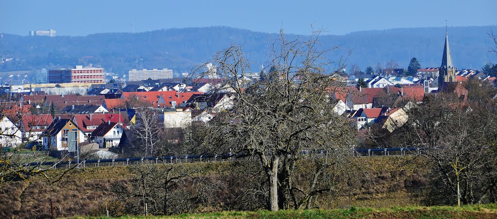 Rutesheim by Qwesy