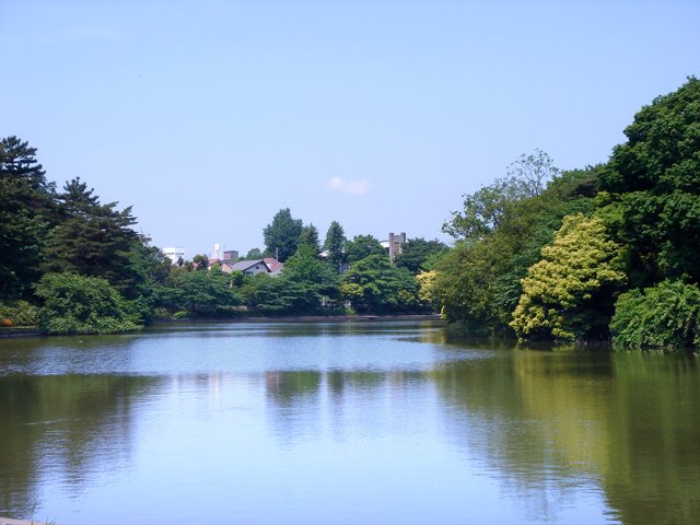 Omiya park-pond (大宮公園の池2) by posh208