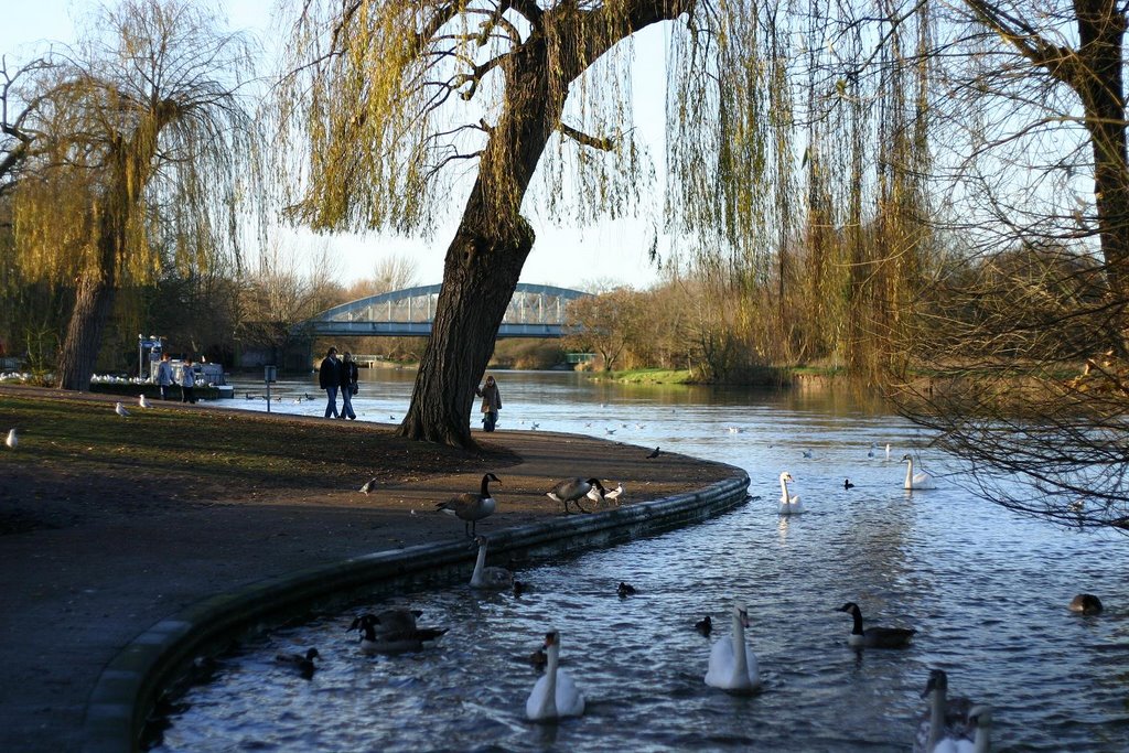 Thames river at Windsor river bank by dROb