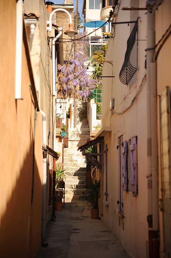 Vallon des Auffes by Dominique Salé