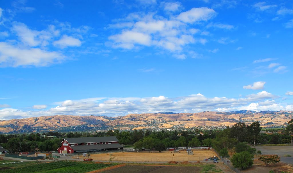 Emma Prusch Farm Park, San Jose, CA by pauline8228