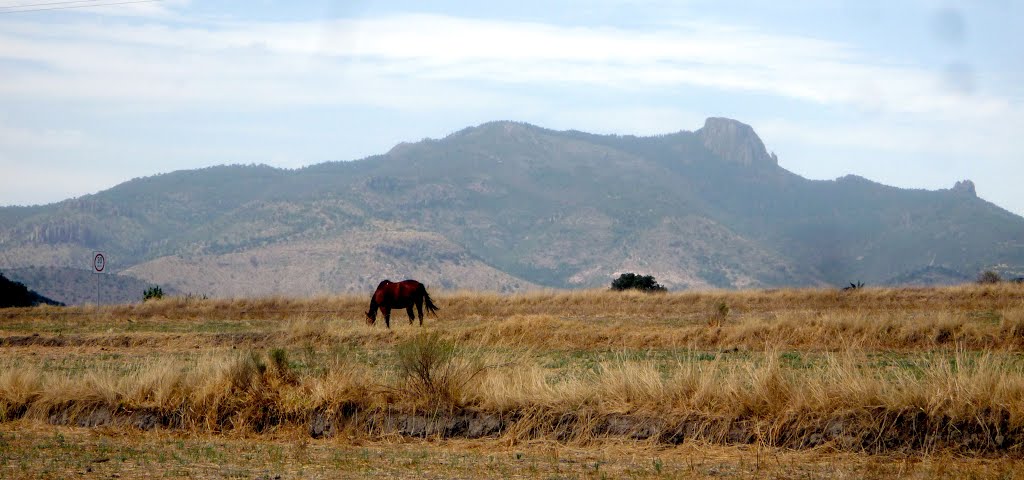 Paisaje a las orillas de la Laguna de Atlangatepec by Tony SOPA