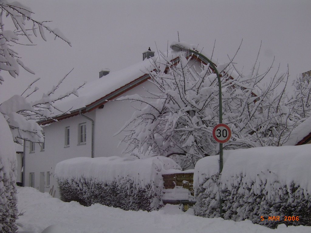 Haus im Schneechaos by Peter Wunder