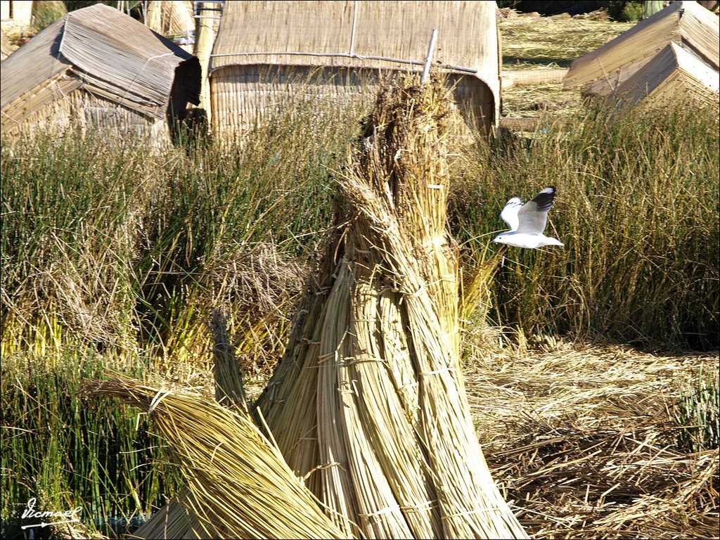 080426-157 PUNO. TITICACA. ISLAS URO by Víctor Manuel Mamblo…