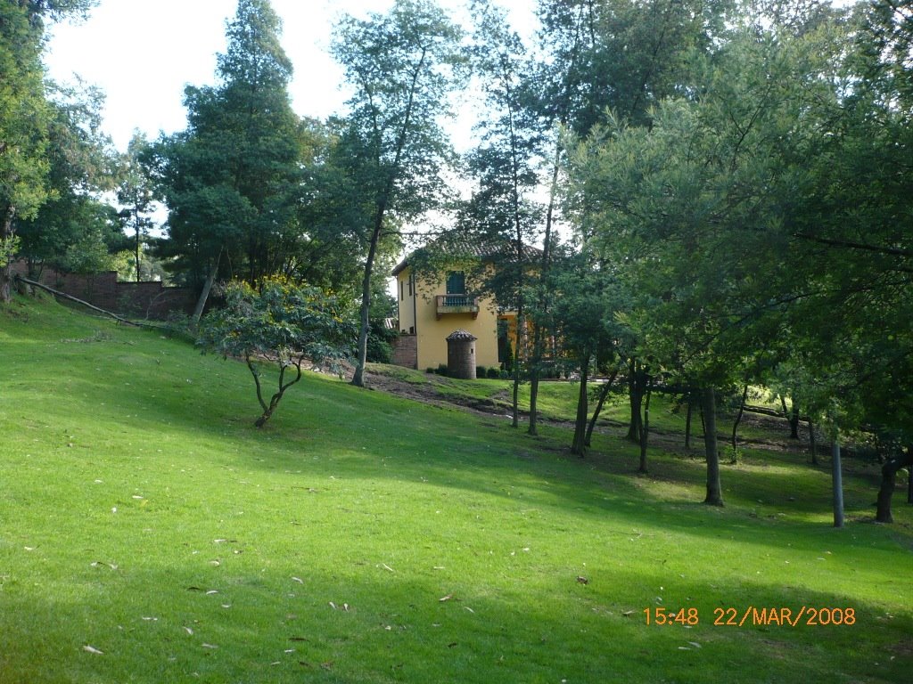 Parque nacional by Jorge Alfredo Londoño