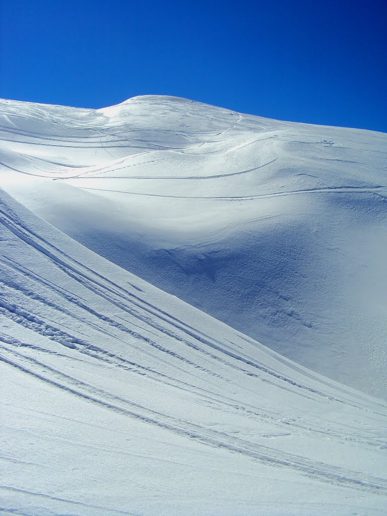 Vogel_blue white snow by jani.d