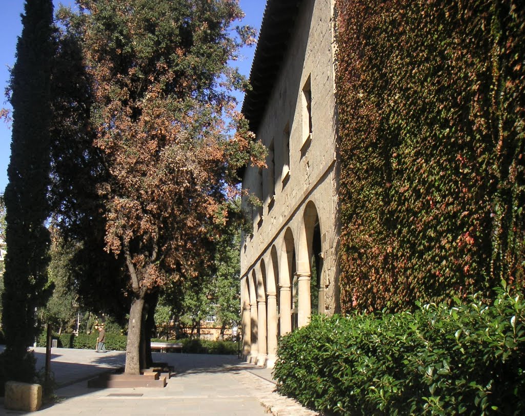 Pati del Monastir de Sant Cugat del Vallés by blassiat