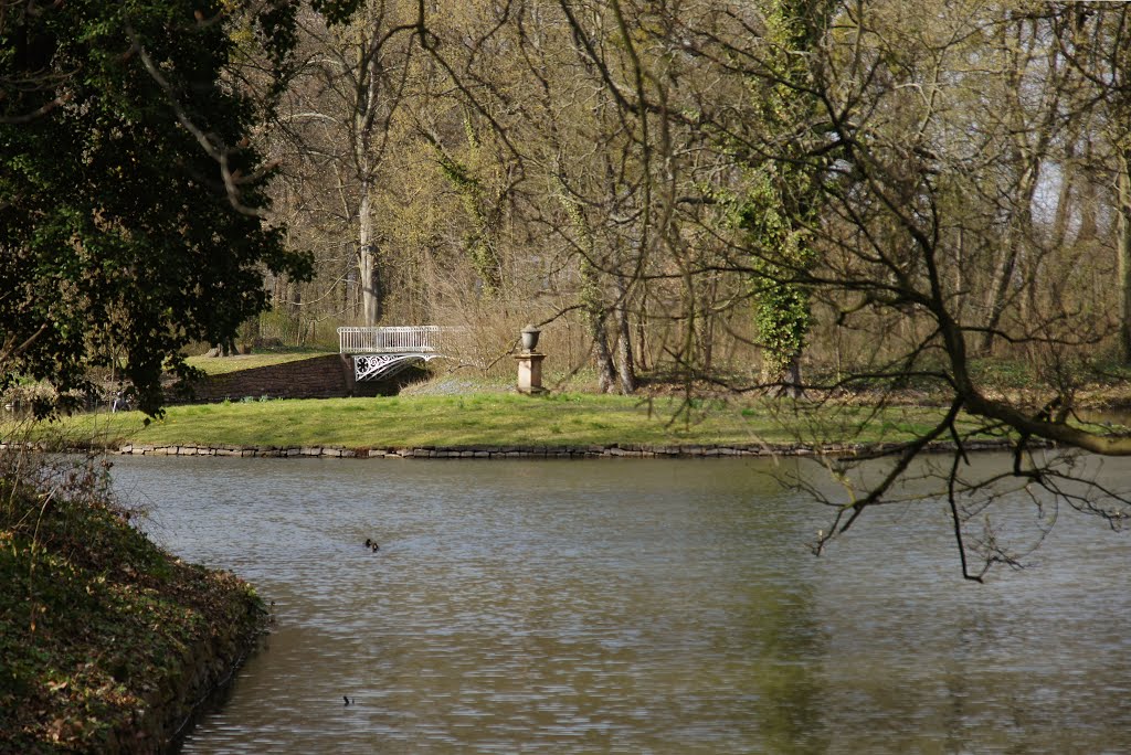 Englischer Garten... by Jürgen Düring