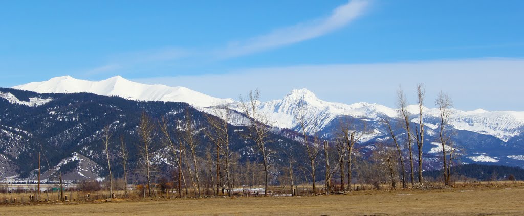 Grey Wolf Peak by Lucas Necessary