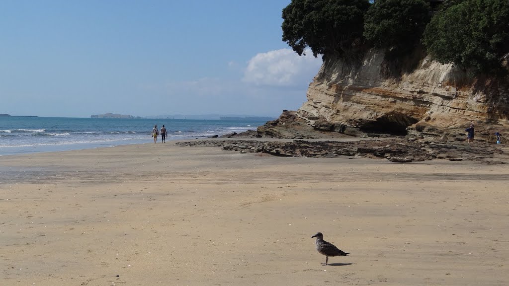 Takapuna, Beach by mcarnduff