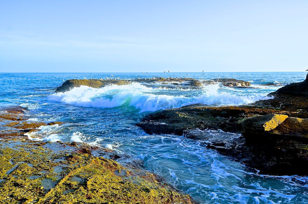 Beautiful Wave at Laguna Beach California , USA by robertou