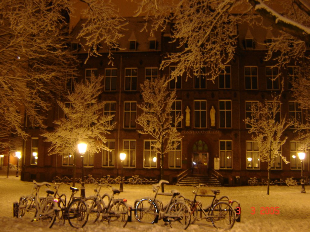 Conservatory, at night with snow by yurii_khomskii